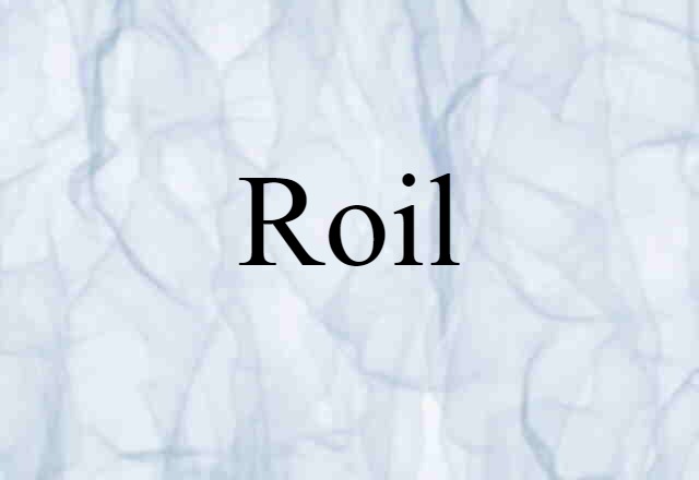 Roil (noun) Definition, Meaning & Examples