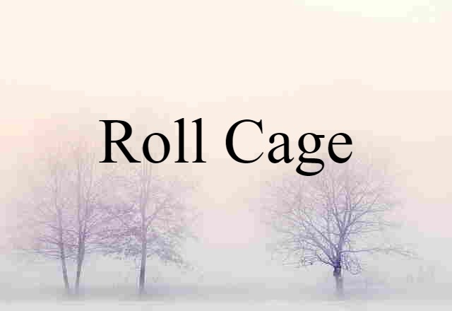 Roll Cage (noun) Definition, Meaning & Examples