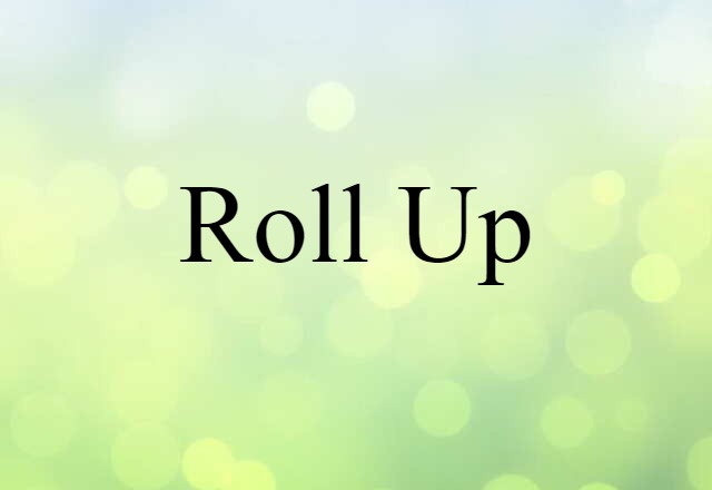 Roll Up (noun) Definition, Meaning & Examples