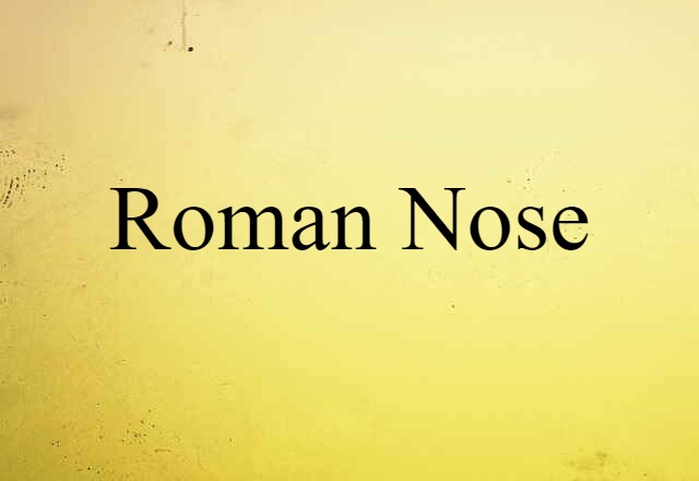 Roman Nose (noun) Definition, Meaning & Examples