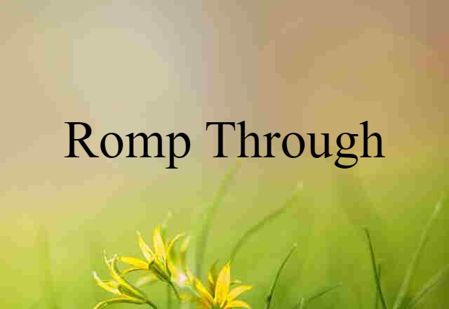 Romp Through (noun) Definition, Meaning & Examples