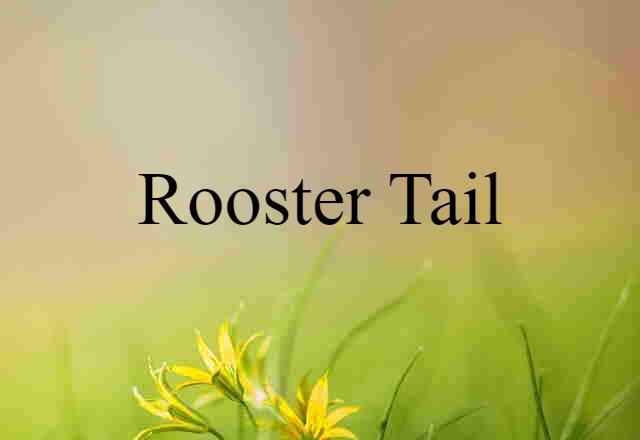 rooster tail