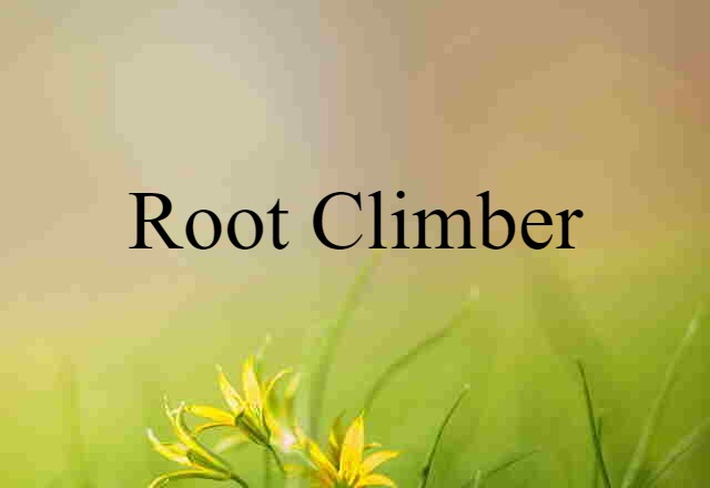 root climber