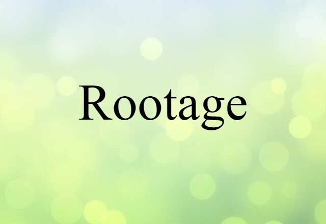 Rootage (noun) Definition, Meaning & Examples