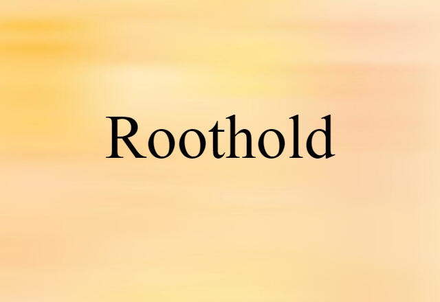 Roothold (noun) Definition, Meaning & Examples