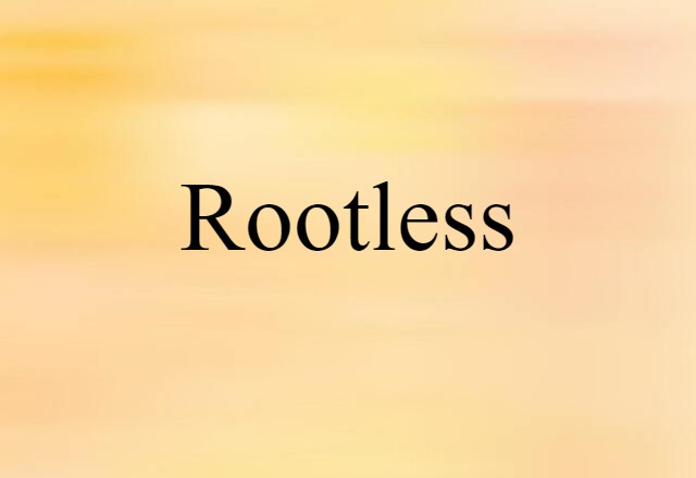 Rootless (noun) Definition, Meaning & Examples