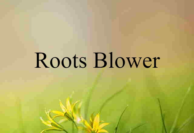 Roots blower