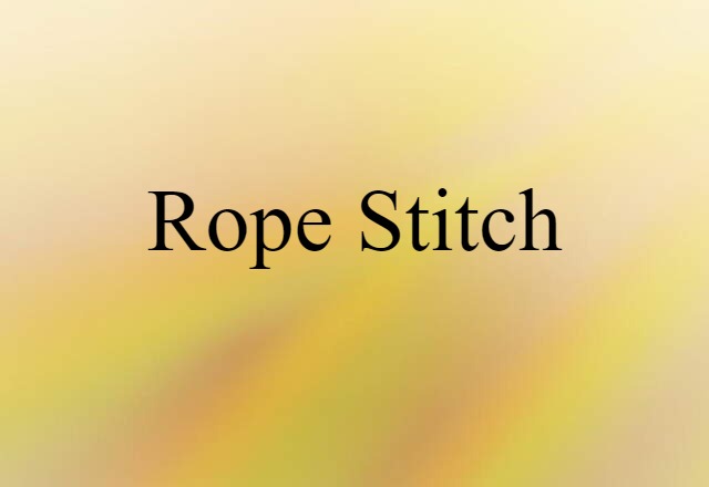 Rope Stitch (noun) Definition, Meaning & Examples