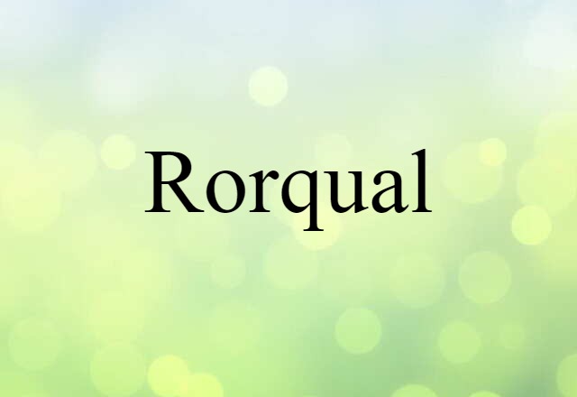 Rorqual (noun) Definition, Meaning & Examples