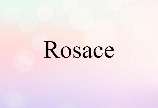 Rosace (noun) Definition, Meaning & Examples