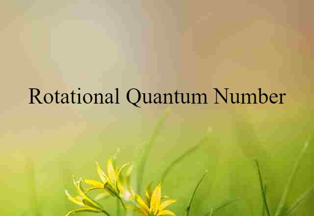 Rotational Quantum Number (noun) Definition, Meaning & Examples