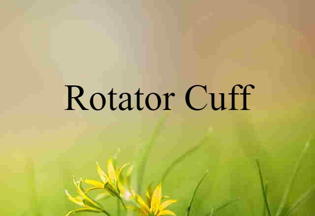 Rotator Cuff (noun) Definition, Meaning & Examples