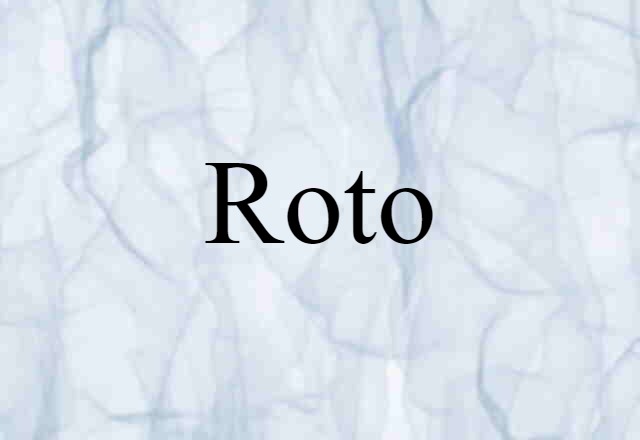 Roto (noun) Definition, Meaning & Examples