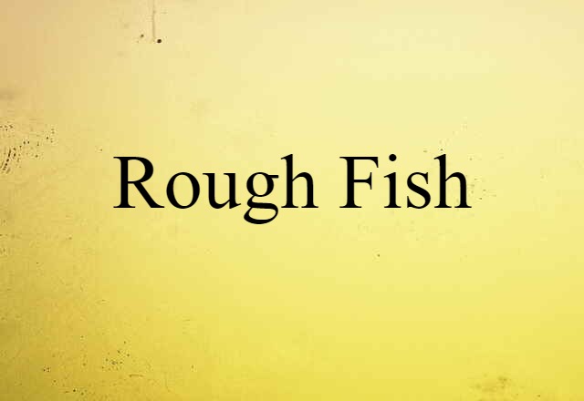 Rough Fish (noun) Definition, Meaning & Examples