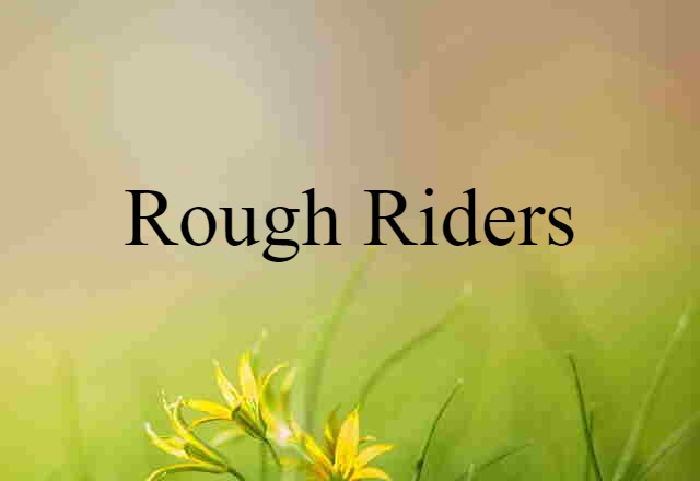 Rough Riders (noun) Definition, Meaning & Examples