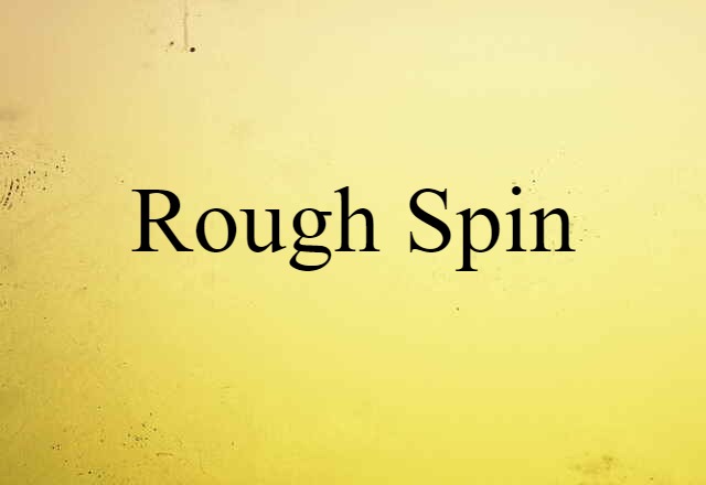 Rough Spin (noun) Definition, Meaning & Examples