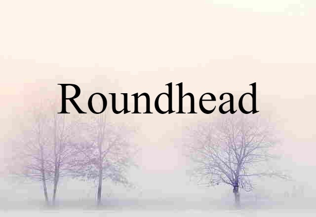 Roundhead