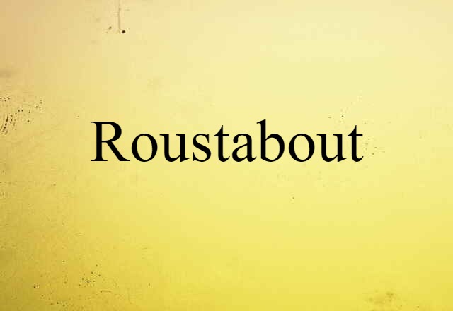 Roustabout (noun) Definition, Meaning & Examples