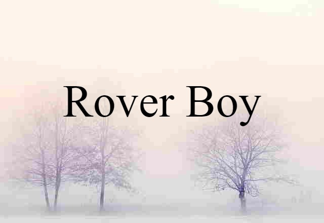 Rover Boy (noun) Definition, Meaning & Examples