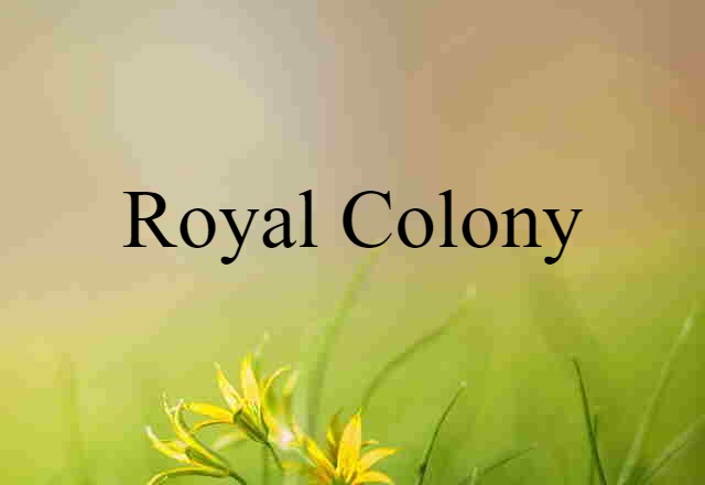 Royal Colony (noun) Definition, Meaning & Examples