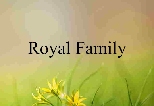 Royal Family (noun) Definition, Meaning & Examples