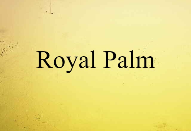 royal palm