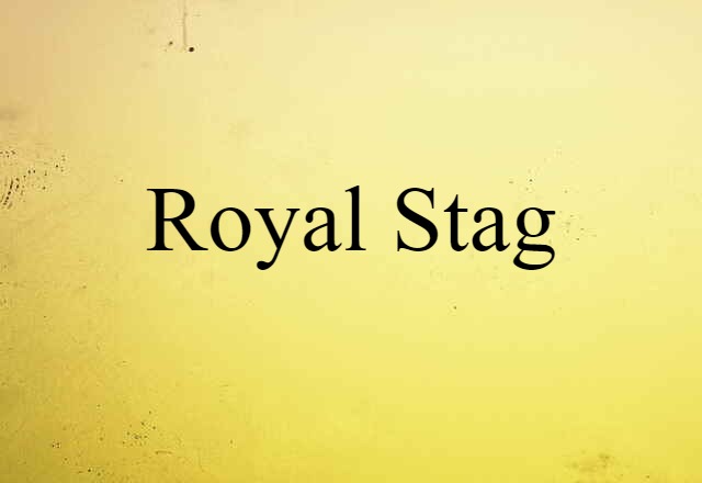 Royal Stag (noun) Definition, Meaning & Examples