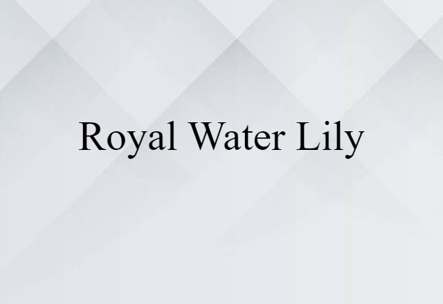 Royal Water Lily (noun) Definition, Meaning & Examples