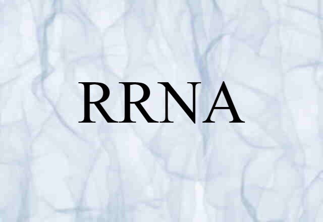 rRNA