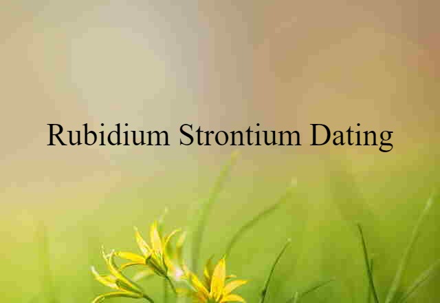 Rubidium-strontium Dating (noun) Definition, Meaning & Examples