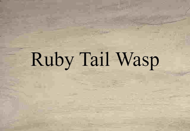 Ruby Tail Wasp (noun) Definition, Meaning & Examples