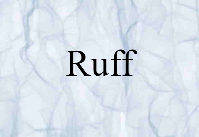 Ruff (noun) Definition, Meaning & Examples