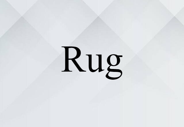 Rug (noun) Definition, Meaning & Examples