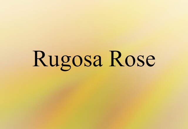 rugosa rose