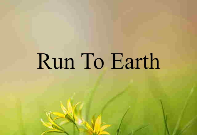 Run To Earth (noun) Definition, Meaning & Examples