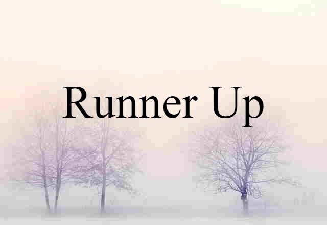 Runner Up (noun) Definition, Meaning & Examples