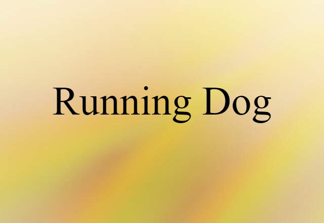 Running Dog (noun) Definition, Meaning & Examples