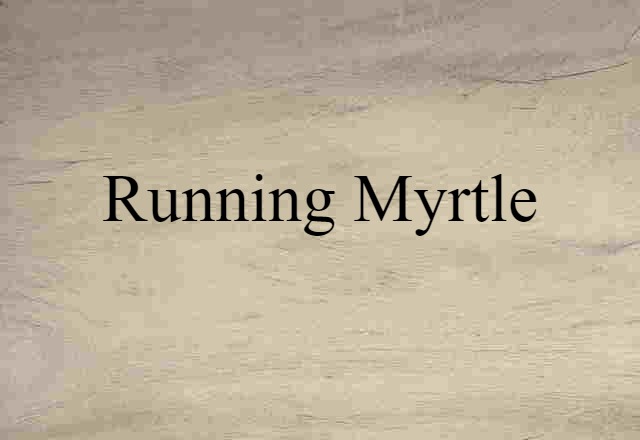 Running Myrtle (noun) Definition, Meaning & Examples