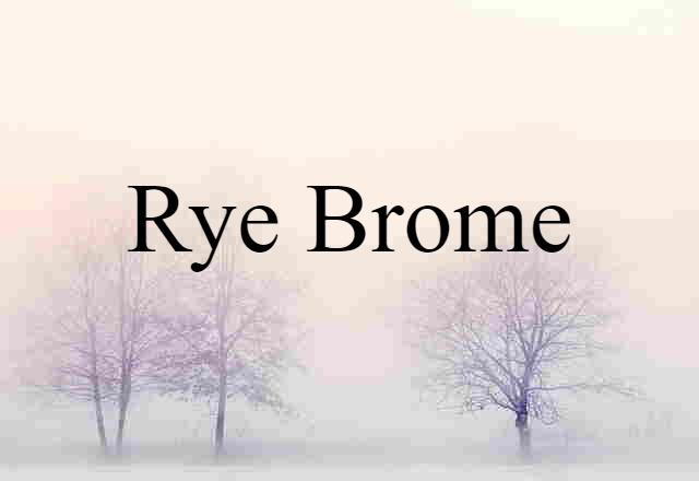 Rye-brome (noun) Definition, Meaning & Examples