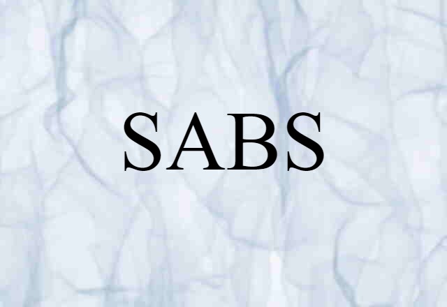 SABS (noun) Definition, Meaning & Examples