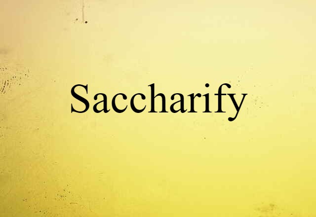 Saccharify (noun) Definition, Meaning & Examples