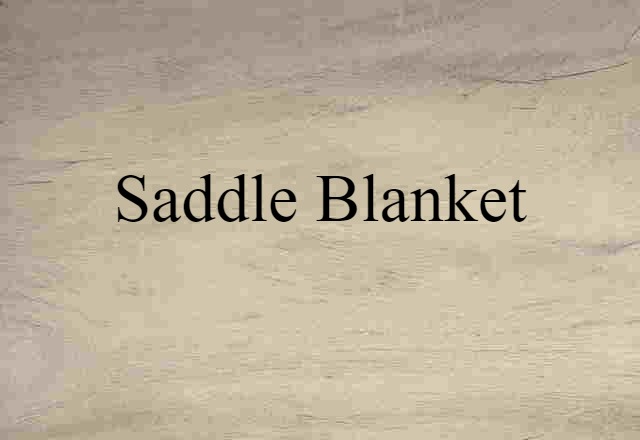 Saddle Blanket (noun) Definition, Meaning & Examples