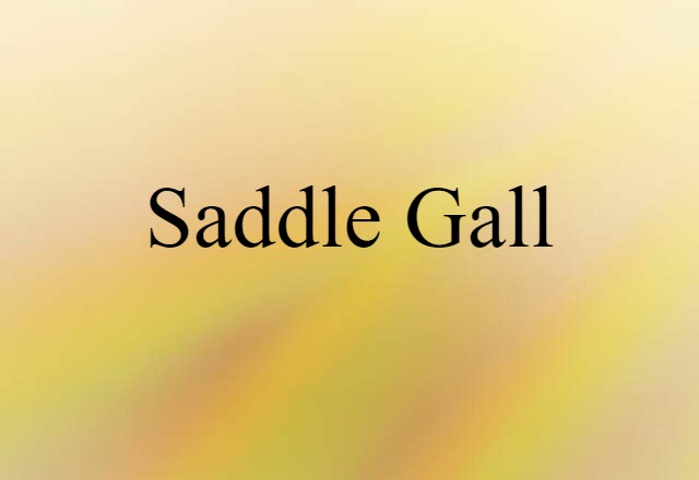 saddle gall