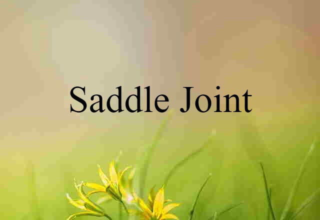 saddle joint