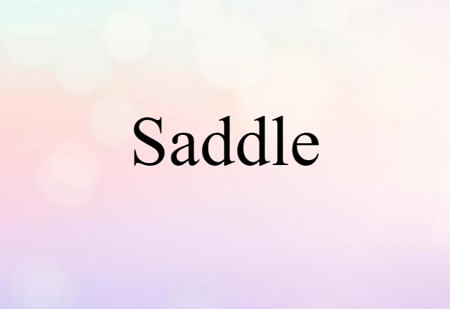 Saddle (noun) Definition, Meaning & Examples