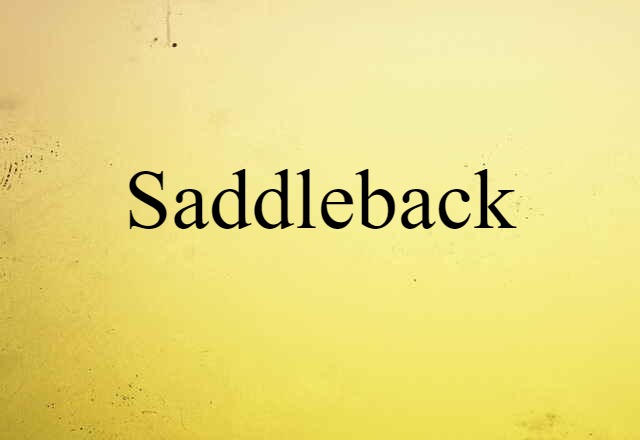 saddleback