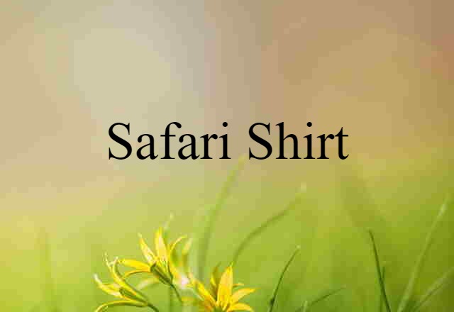 Safari Shirt (noun) Definition, Meaning & Examples