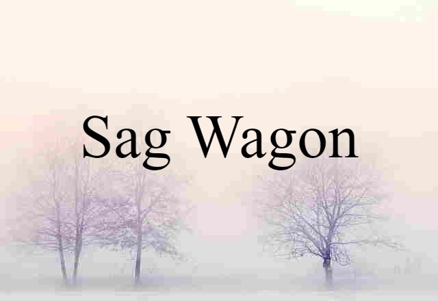 Sag Wagon (noun) Definition, Meaning & Examples