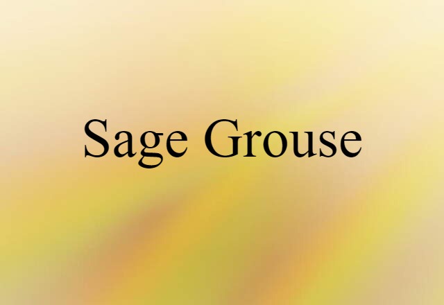 sage grouse