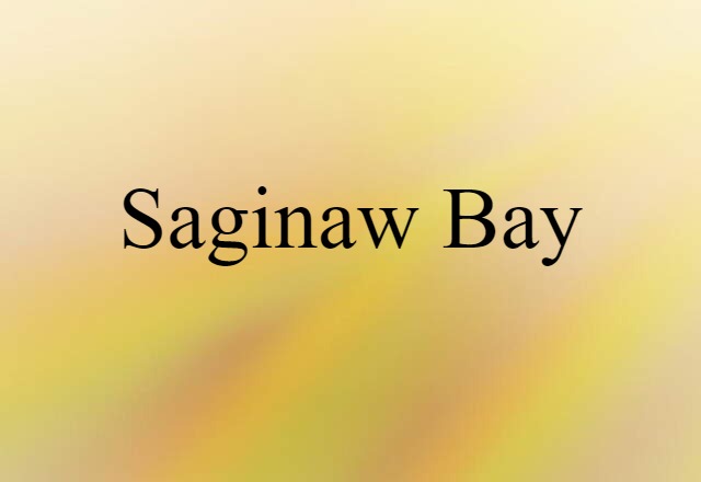 Saginaw Bay (noun) Definition, Meaning & Examples